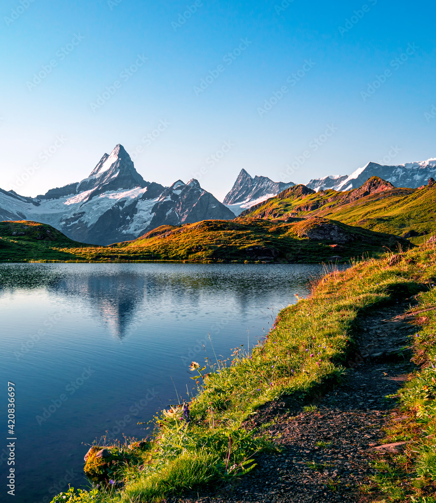 nature,