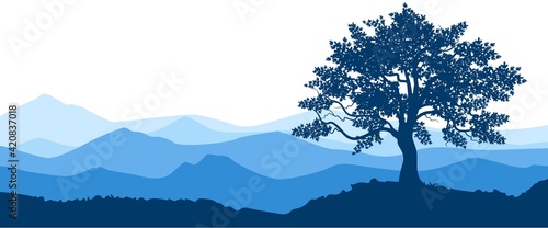 Tree on the hill and magnificent foggy mountain scenery
