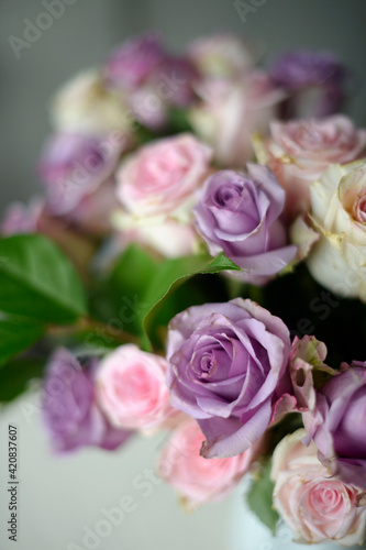 pastel pink and purple roses 
