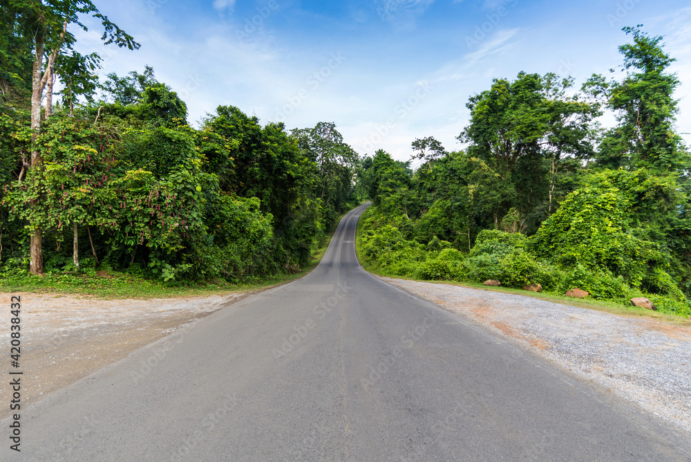 Road through forest at Khao Yai National Park, Pak Chong, Nakhon Ratchasima, Thailand.