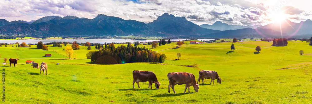 Panorama Landschaft im Allgäu bei Füssen im Frühling - obrazy, fototapety, plakaty 