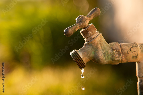 Fototapeta Exterior dripping water faucet or tap in yard