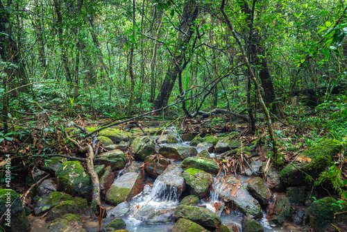 Stream in the woods © sosconcan