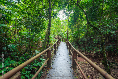 Wooden bridge in forest.