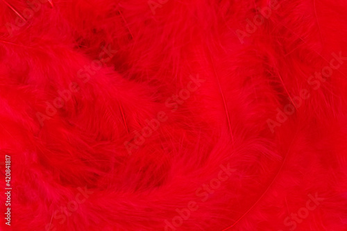 Beautiful vibrant red feathers background with copy space. Minimal abstract composition with place for text. Selective focus, festive backdrop concept
