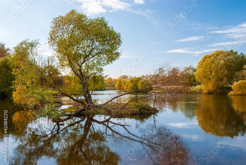 Beautiful autumn landscape. Autumn trees with yellow foliage are reflected in the water.