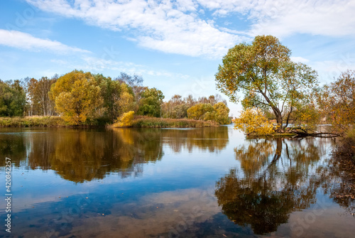 Beautiful autumn landscape. Autumn trees with yellow foliage are reflected in the water.