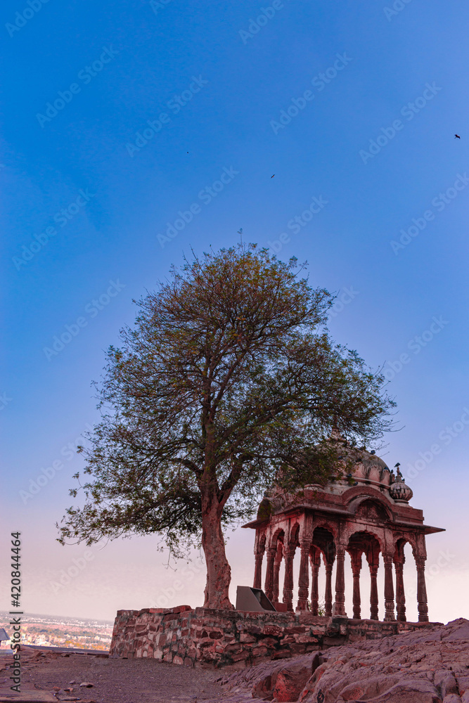 Beautiful a Structures Monuments Gardens with Flowers in Rajasthan