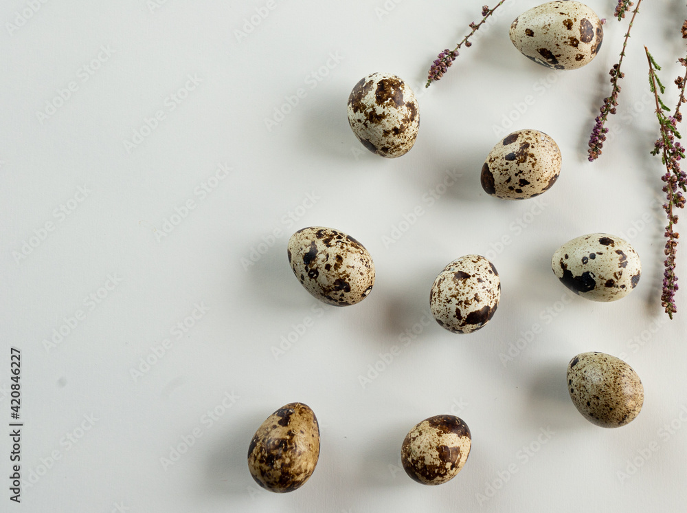 several quail eggs on a white background
