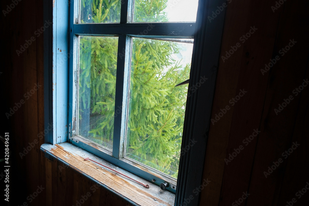 Weathered window sill and window frame in an old wooden house. Behind the dirty glass is blurred spruce. Old houses concept. Unexpected angle. Copy space. Weathered window sill and window frame in an old wooden house. Behind the dirty glass is blurred spruce. Old houses concept. Unexpected angle. Copy space.