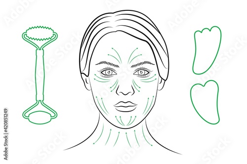 Massage lines face. Outline a woman's face. Cosmetic procedure. Massage Chinese technique of gouache. Vector illustration.