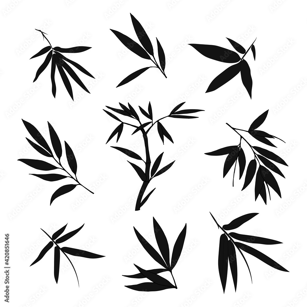 Hand drawn illustration with bamboo stem and leaves. Set of bamboo tree leaves. Hand drawn botanical collection. Drawing of parts of bamboo and sections of branches and leaves on a white background. Hand drawn illustration with bamboo stem and leaves. Set of bamboo tree leaves. Hand drawn botanical collection. Drawing of parts of bamboo and sections of branches and leaves on a white background.