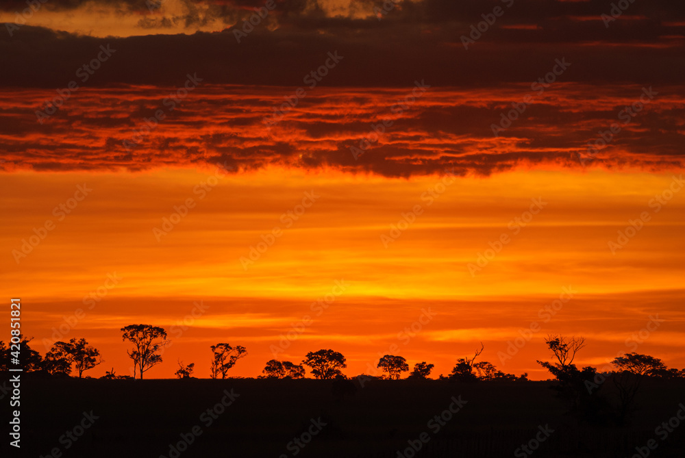 Bonito, Mato Grosso do Sul, Brazil on April 1, 2007. Trees in silhouette with clouds flooded by sunlight Sunset.