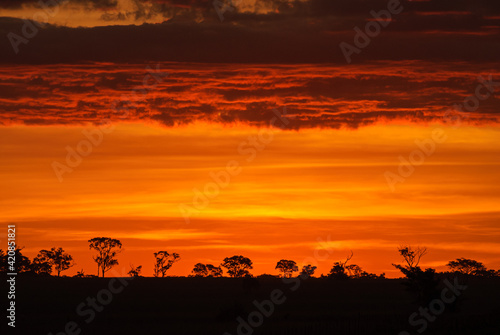 Bonito  Mato Grosso do Sul  Brazil on April 1  2007. Trees in silhouette with clouds flooded by sunlight Sunset.