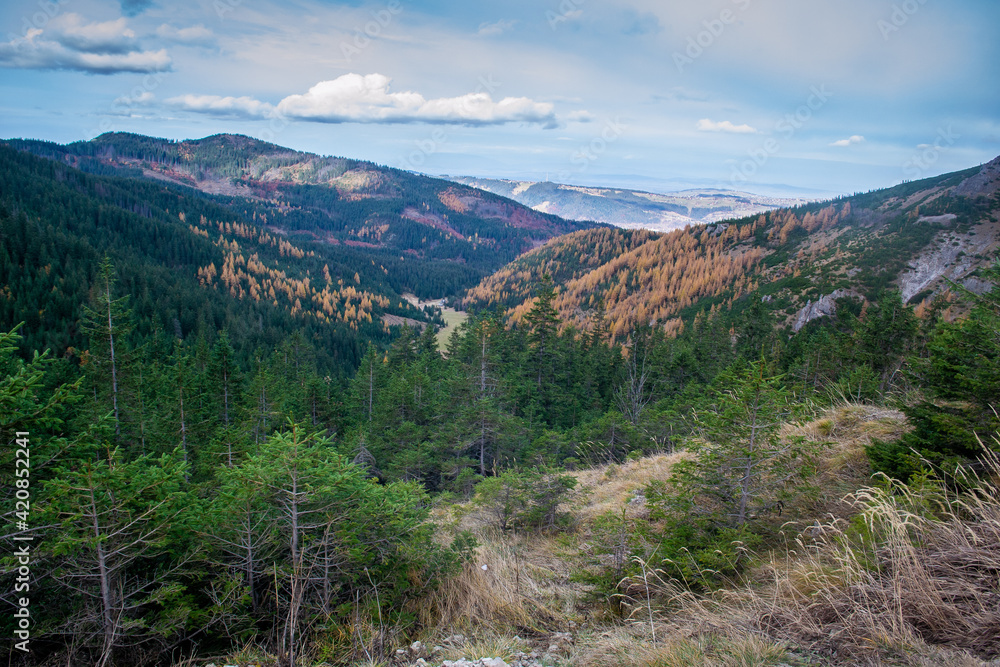 Dolina Jaworzynki, Tatry