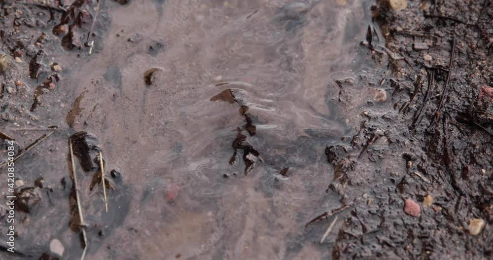 A stream with meltwater and mud flows in the spring along a country road path. A stream with meltwater and mud flows in the spring along a country road path.