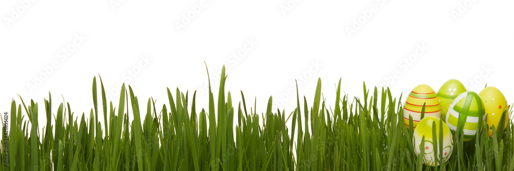 Fototapeta premium Easter extra wide panorama banner background.