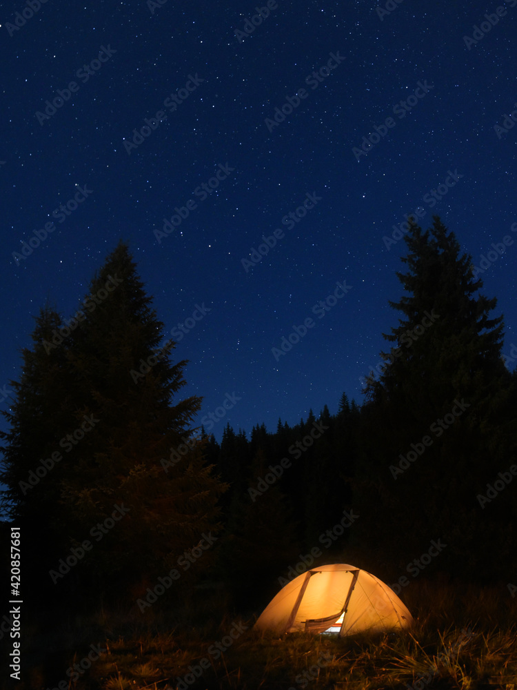 Vertical Panorama of a tent with a spruce forests and stars on the background. Perfect summer night for camping