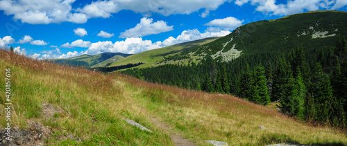 Pasture with view of the Lotru Mountains crests. A sunny alpine meadow in Lotru Mountains, Carpathia, Romania.