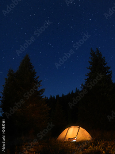 Vertical Panorama of a tent with a spruce forests and stars on the background. Perfect summer night for camping