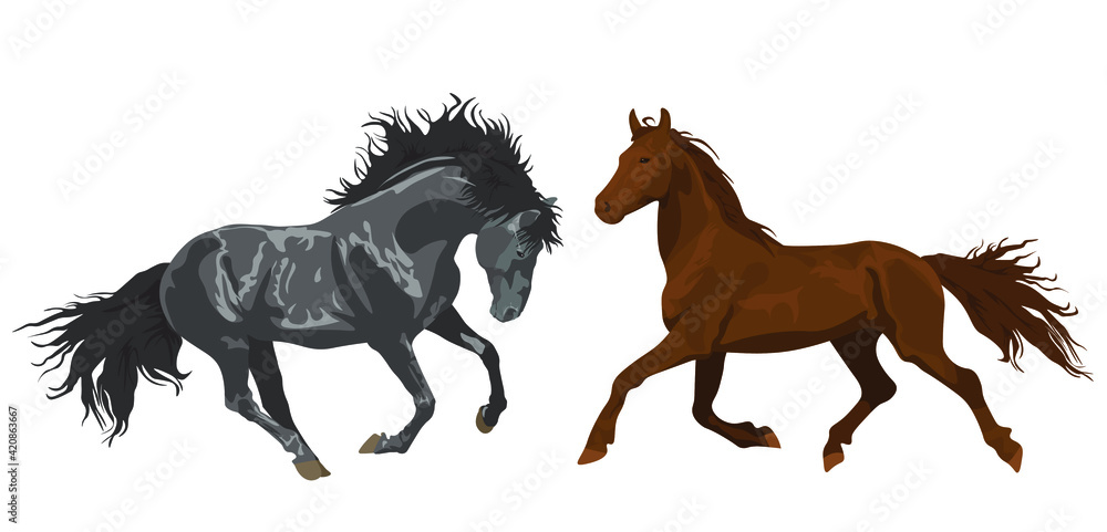 Fototapeta beautiful horses in various poses. Set of vector illustrations isolated on white background. Horseback Riding. farm. poster card with horses