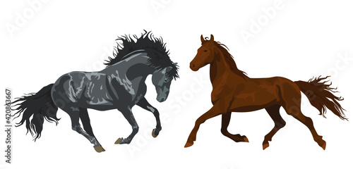 beautiful horses in various poses. Set of vector illustrations isolated on white background. Horseback Riding. farm. poster card with horses © ishpoka