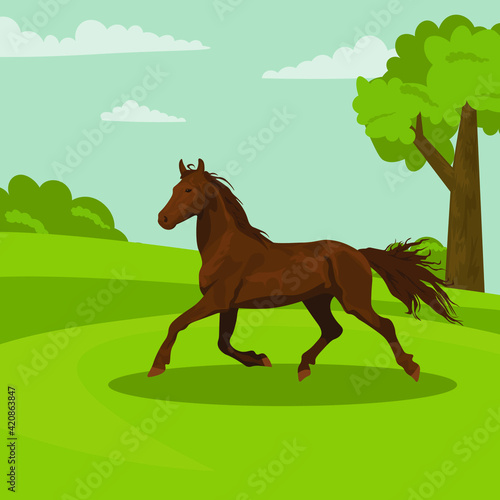 beautiful brown horse. red horse on the background of nature. Horseback riding. farm. poster card with horses