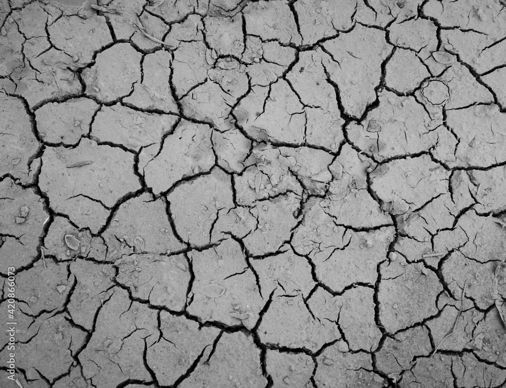 closeup detail in black and white patterns from droughted land closeup detail in black and white patterns from droughted land