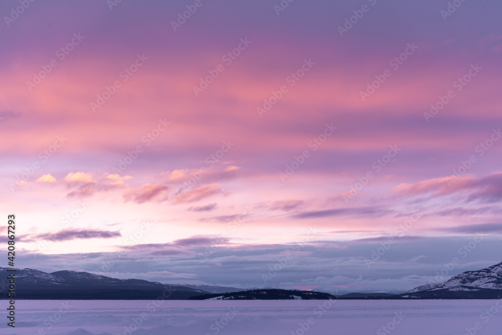 A pink winter sunrise during March with purple pastel scenes in the wilderness of northern Canada. Great for sky replacement use. 