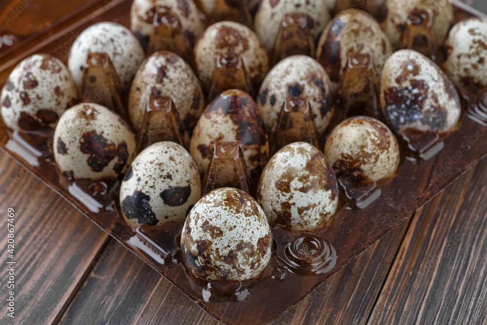 Group of quail eggs are put on clear tray on wooden table. Group of quail eggs are put on clear tray on wooden table.