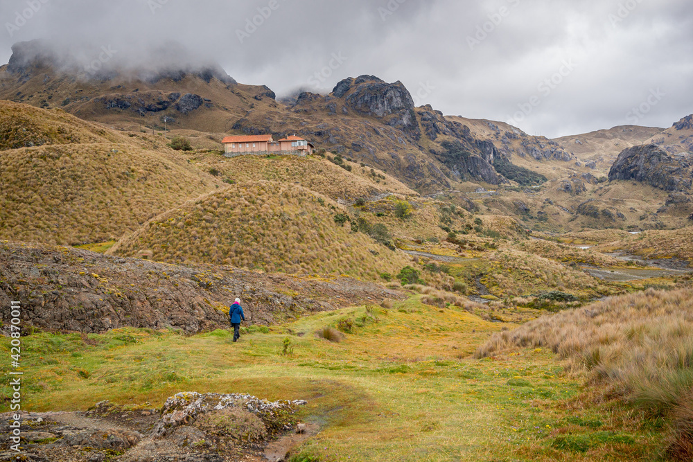A young woman in action of walking and enjoying the calmness and beauty of nature in Cajas National Park near Cuenca, Ecuador with scenic view of lakes, creeks, valley