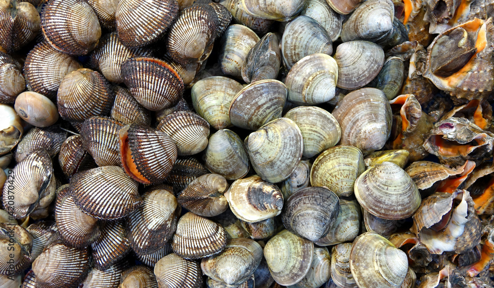 Variety of shelled seafood in full frame format Variety of shelled seafood in full frame format