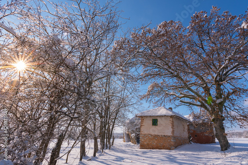 Abandoned house in the snow morning. © Bratislav Kostic