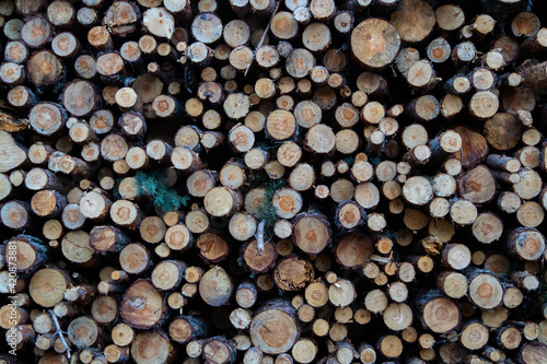 Clearing of trees
