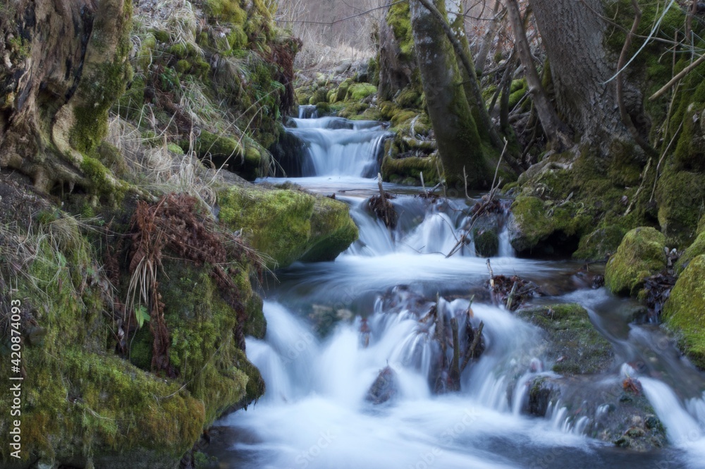 waterfall in the forest