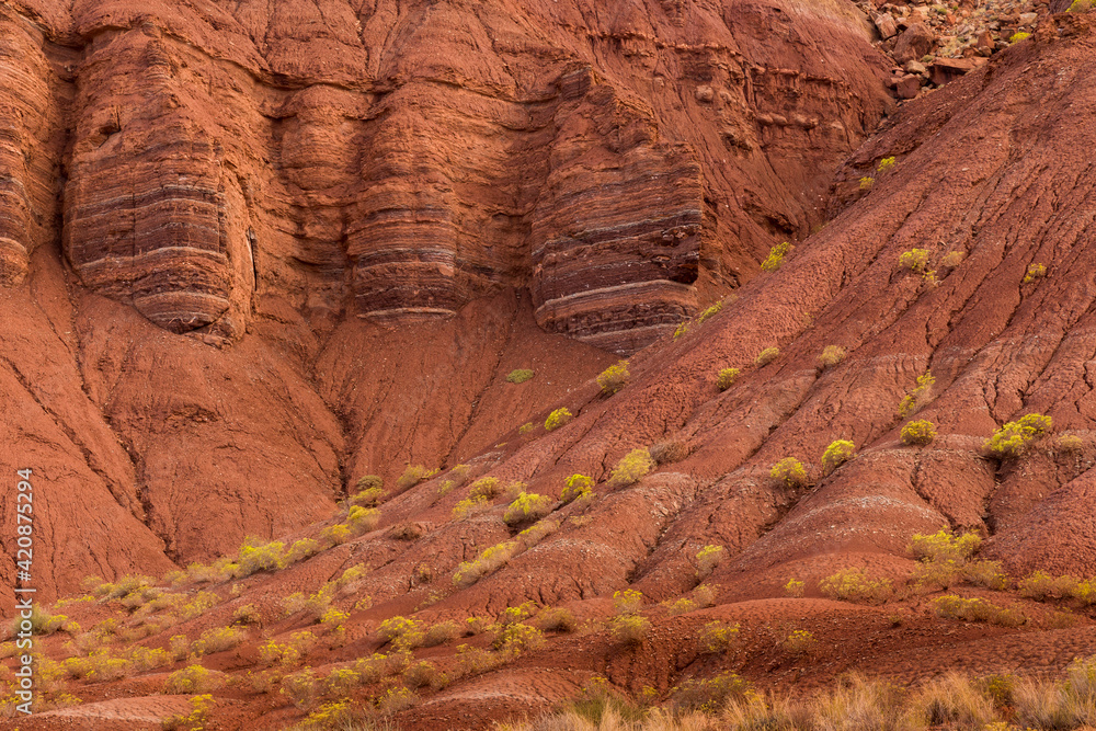USA, Utah, Capitol Reef National Park. Layered cliffs and yellow flowers. USA, Utah, Capitol Reef National Park. Layered cliffs and yellow flowers.