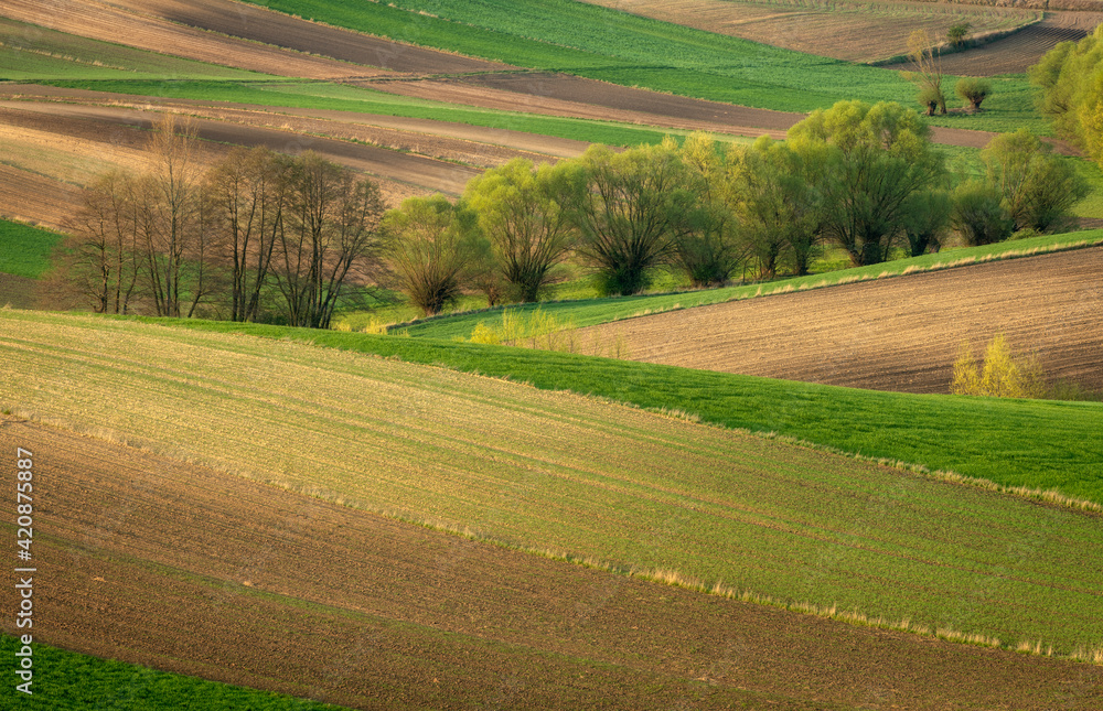 Beautiful spring rural landscape with plowed fields Beautiful spring rural landscape with plowed fields