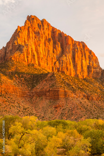 USA, Utah, Zion National Park. The Watchman formation at sunset.