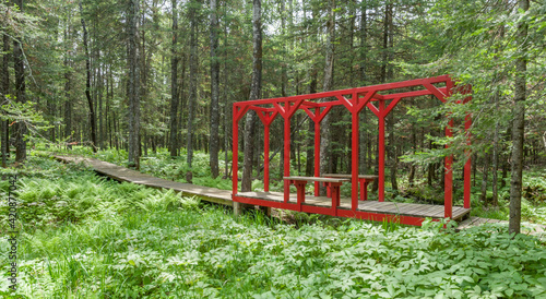 Secluded walkway is the way for relaxation