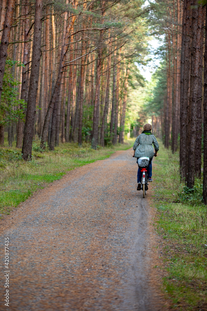 A forest road among the fragrances of pines on the Vistula Spit between Jantar and Stegna. Poland A forest road among the fragrances of pines on the Vistula Spit between Jantar and Stegna. Poland