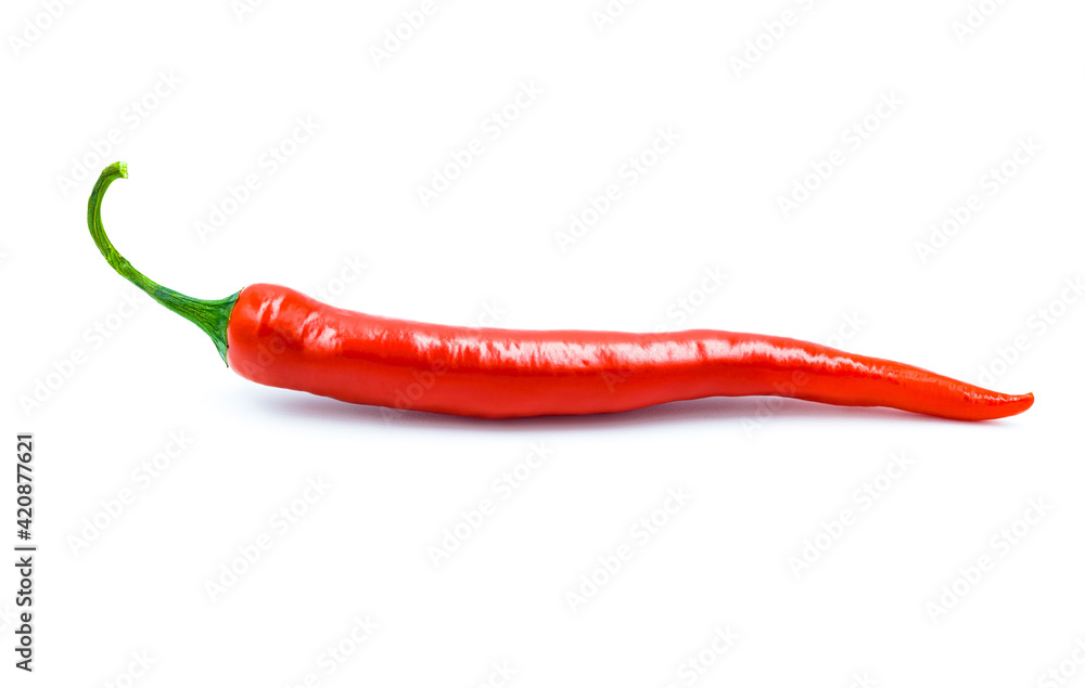 Chilli pepper isolated on white background - obrazy, fototapety, plakaty 