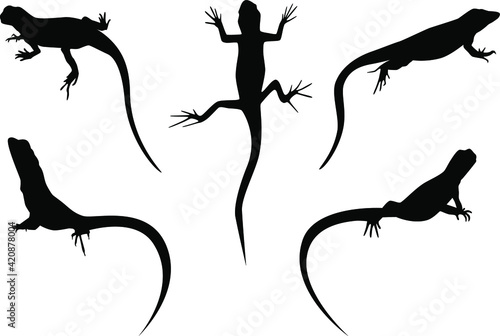 Canvas Print set of lizards black silhouette vector illustration