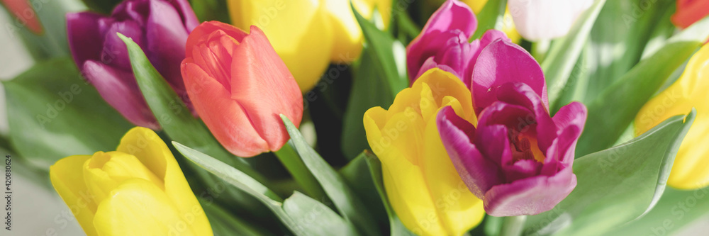 Fototapeta premium Bouquet of bright colorful tulips. Beautiful floral background. Spring flowers. Banner
