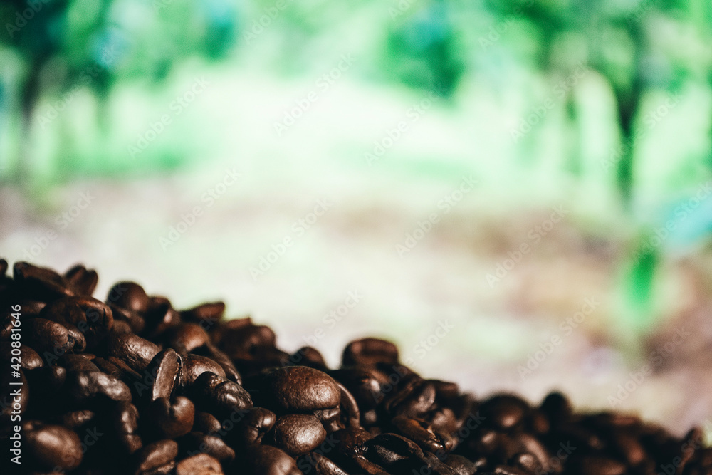 coffee beans coffee beans