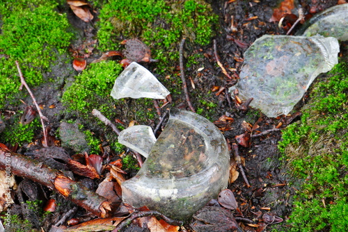 shards of a broken glass bottle on moss covered forest floor