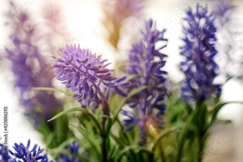 Blue flowers of cornflowers  summer rustic bouquet. Spring bouquet with sun rays