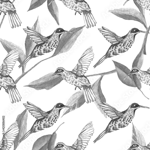 Watercolor seamless pattern. Botanical background with hummingbirds, leaves, branches and herbs. Design elements, birds. Perfect for textile, packing, fabric, invitations, cards.