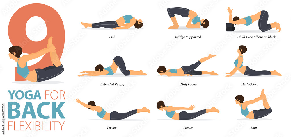 9 Yoga poses or asana posture for workout in Back Flexibility concept. Women exercising for body stretching. Fitness infographic. Flat cartoon vector - obrazy, fototapety, plakaty 