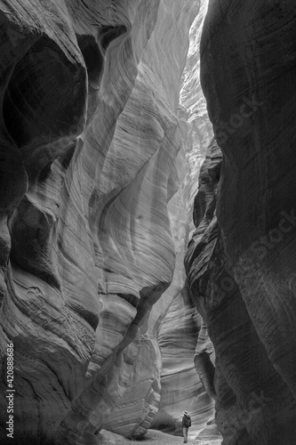 USA, Utah. Paria Canyon-Vermillion Cliffs Wilderness, hiker in a deep narrow slot of Buckskin Gulch. 