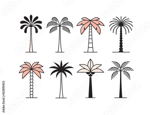 Vászonkép Graphic palm tree icon, logo set.